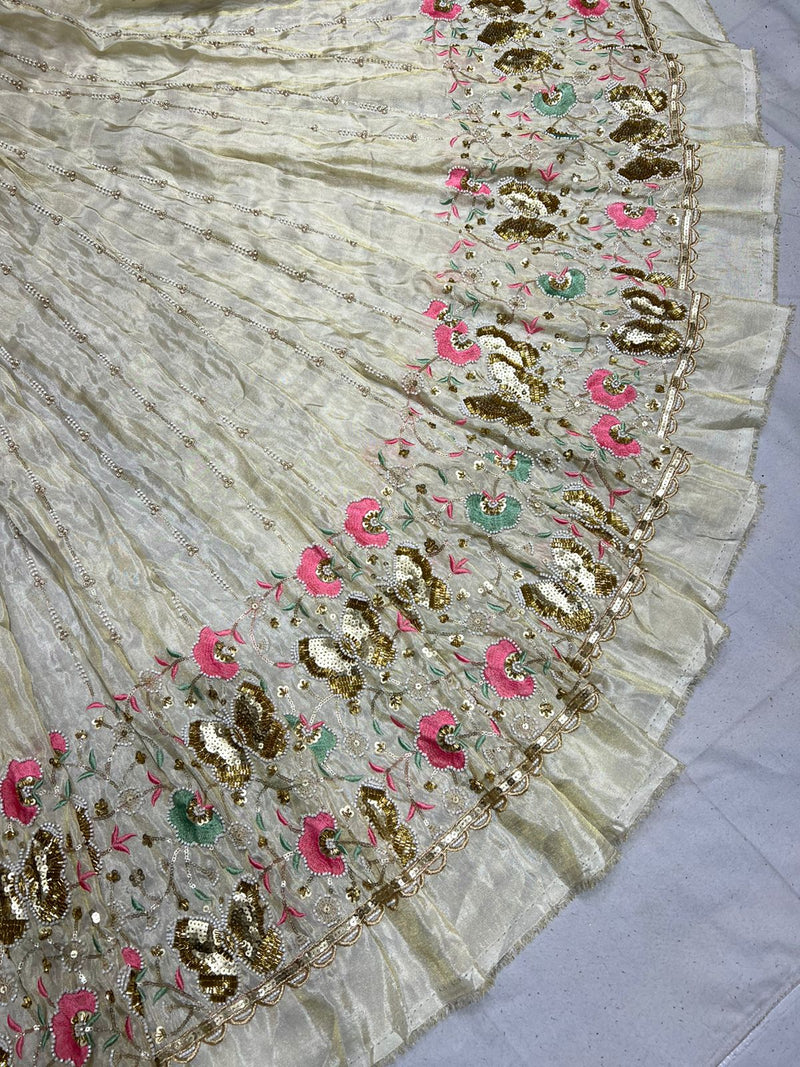 Multi Cutdana Border Embroidery