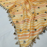 Organza dupatta